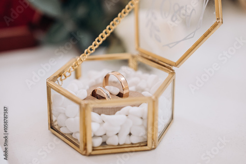Obraz na płótnie wedding rings w salonie