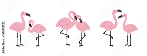 Flamingo couples love each other. Pink exotic bird on white background. 