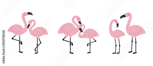Flamingo couples love each other. Pink exotic bird on white background. 