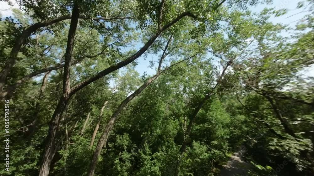 Green Forest At Riviere des Prairies, Montreal, Canada - FPV Green Forest At Riviere des Prairies, Montreal, Canada - FPV