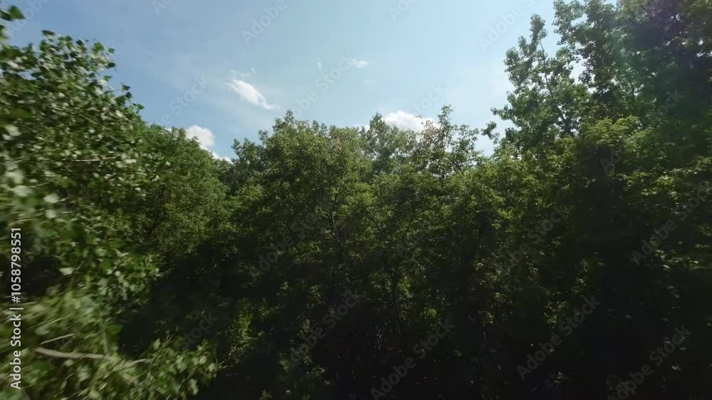 Flying Through Lush Green Trees In Riviere des Prairies, Montreal, Canada - FPV Flying Through Lush Green Trees In Riviere des Prairies, Montreal, Canada - FPV
