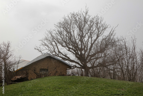 Mountain village with walnut trees in winter photo