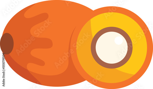 Vector illustration of a palm oil fruit cut in half, showing the internal seed and pulp