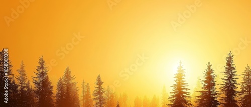  The sun sets, casting pine trees into stark relief against a yellowing sky, the sun distant yet still prominent