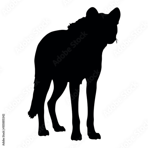 a hyena standing on blank space vector silhouette, isolated white