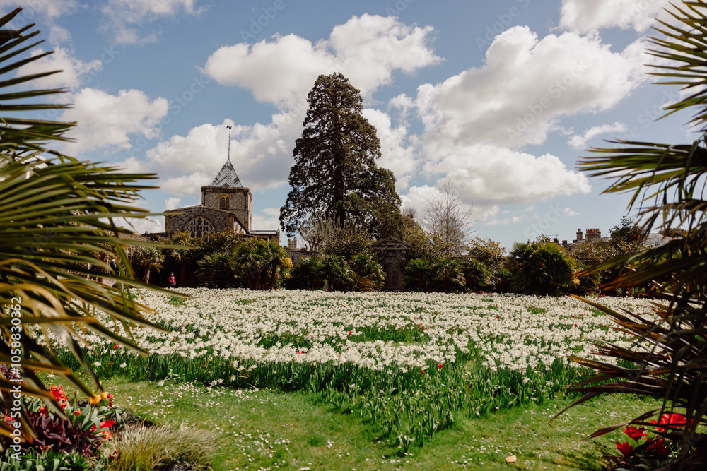 Obraz premium garden in the park