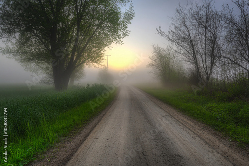 Foggy morning road through tranquil countryside at sunrise