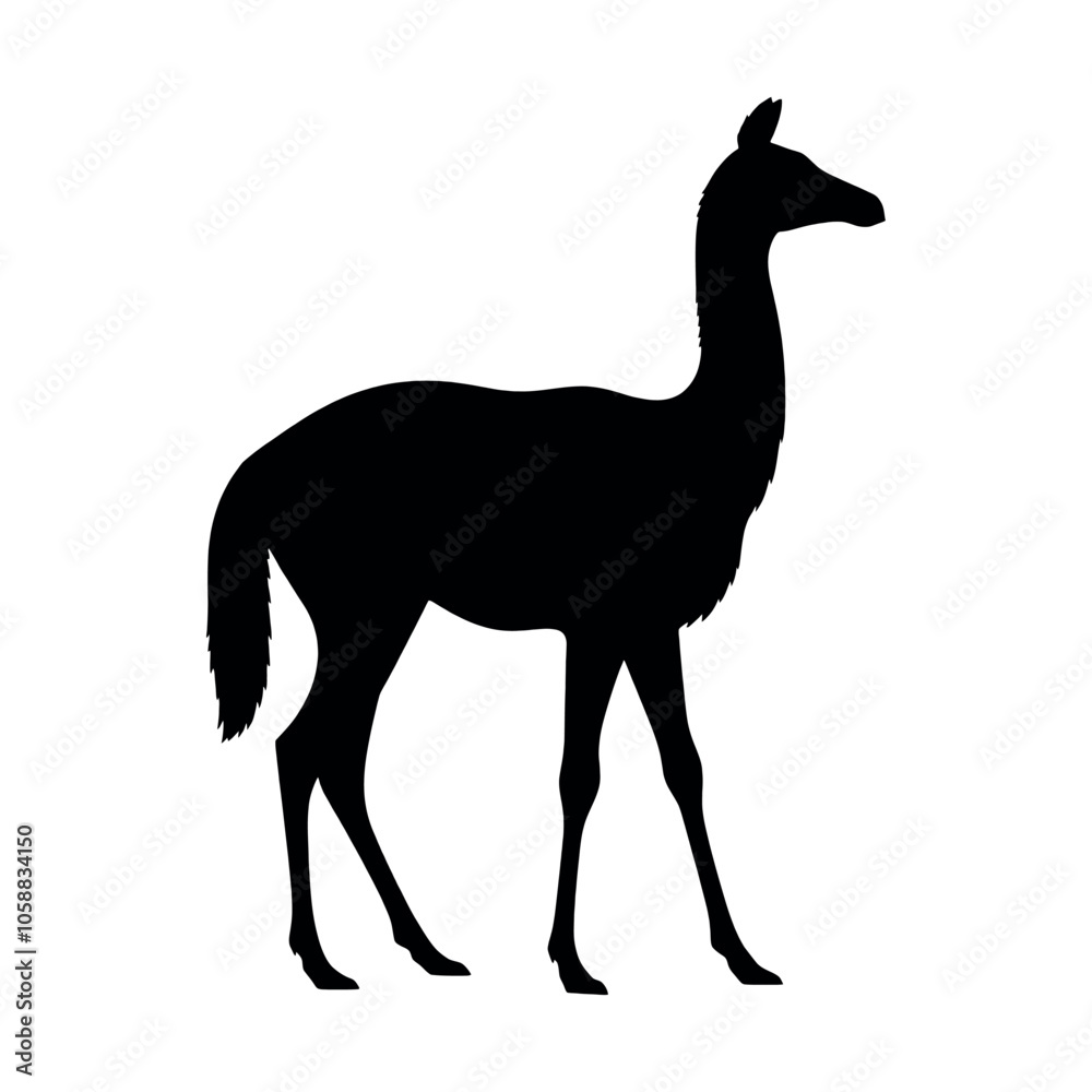 guanaco animal vector silhouette, isolated white background guanaco animal vector silhouette, isolated white background