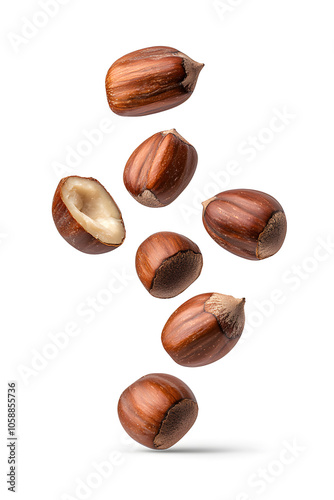 Wallpaper Mural Floating pieces of roasted chestnuts, isolated on white background	 Torontodigital.ca