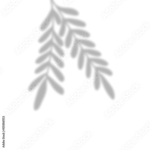 Leaves Shadow Overlay