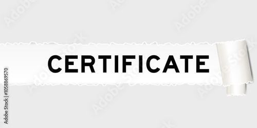 Ripped gray paper background that have word certificate under torn part