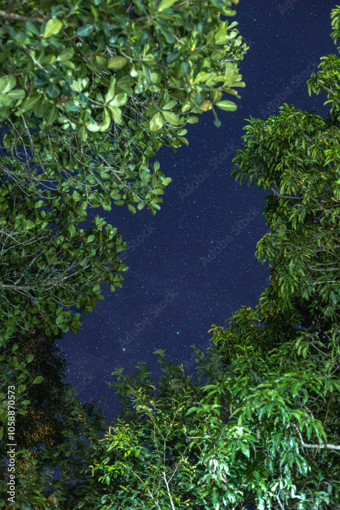 Naklejka premium astrofotografia, estrela e via láctea, na cidade de Alto Paraiso de Goiás, região da Chapada dos Veadeiros, Estado de Goiás, Brasil