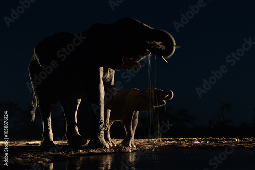 an African elephant cow and calf drinking water at nighttime, taken from a low angle photo