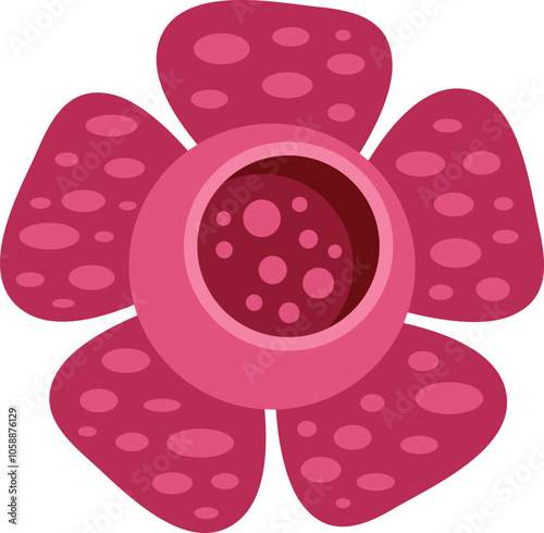 Rafflesia flower blooming, showing its vibrant pink petals and intricate details