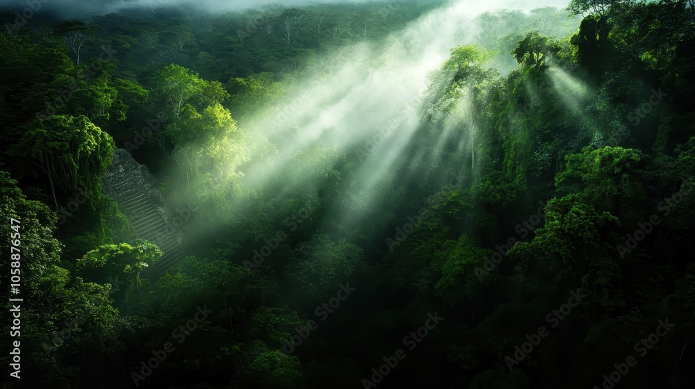 A mystical forest bathed in sunlight with ancient stone ruins emerging through the mist, connecting past and present in an ethereal scene filled with mystery. A mystical forest bathed in sunlight with ancient stone ruins emerging through the mist, connecting past and present in an ethereal scene filled with mystery.