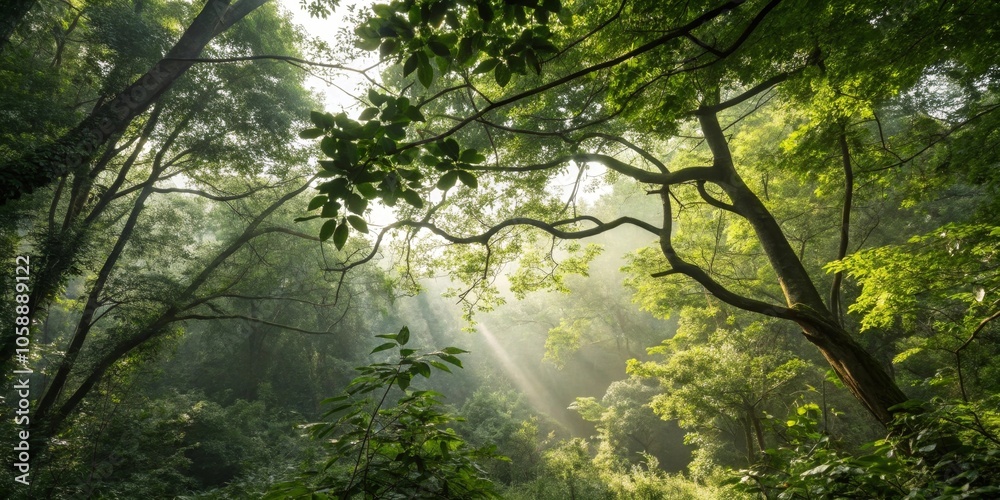 Fototapeta premium Dense foliage and branches with dappled sunlight filtering through, scenery, branches, natural, dappled light