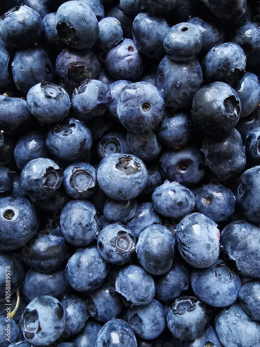 background with blueberries