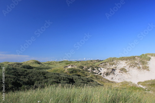 Dünen an der Nordsee