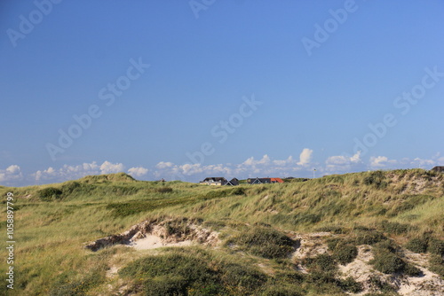 Dünen an der Nordsee