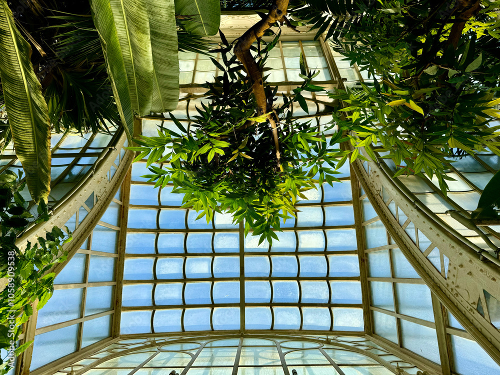 Das Große Palmenhaus Schönbrunn in Wien, Österreich
