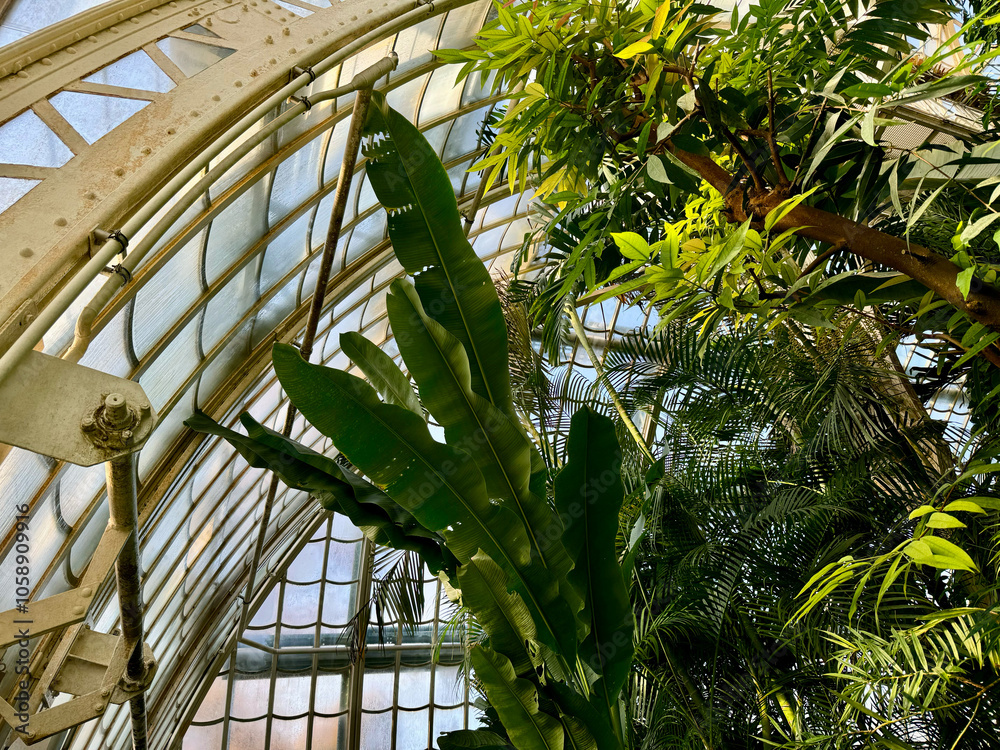 Das Große Palmenhaus Schönbrunn in Wien, Österreich