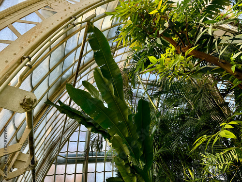Obraz na płótnie Das Große Palmenhaus Schönbrunn in Wien, Österreich w salonie