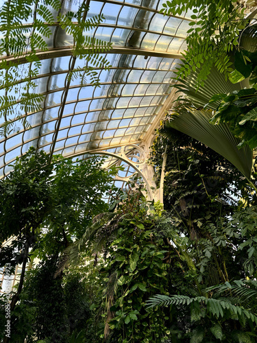 Das Große Palmenhaus Schönbrunn in Wien, Österreich