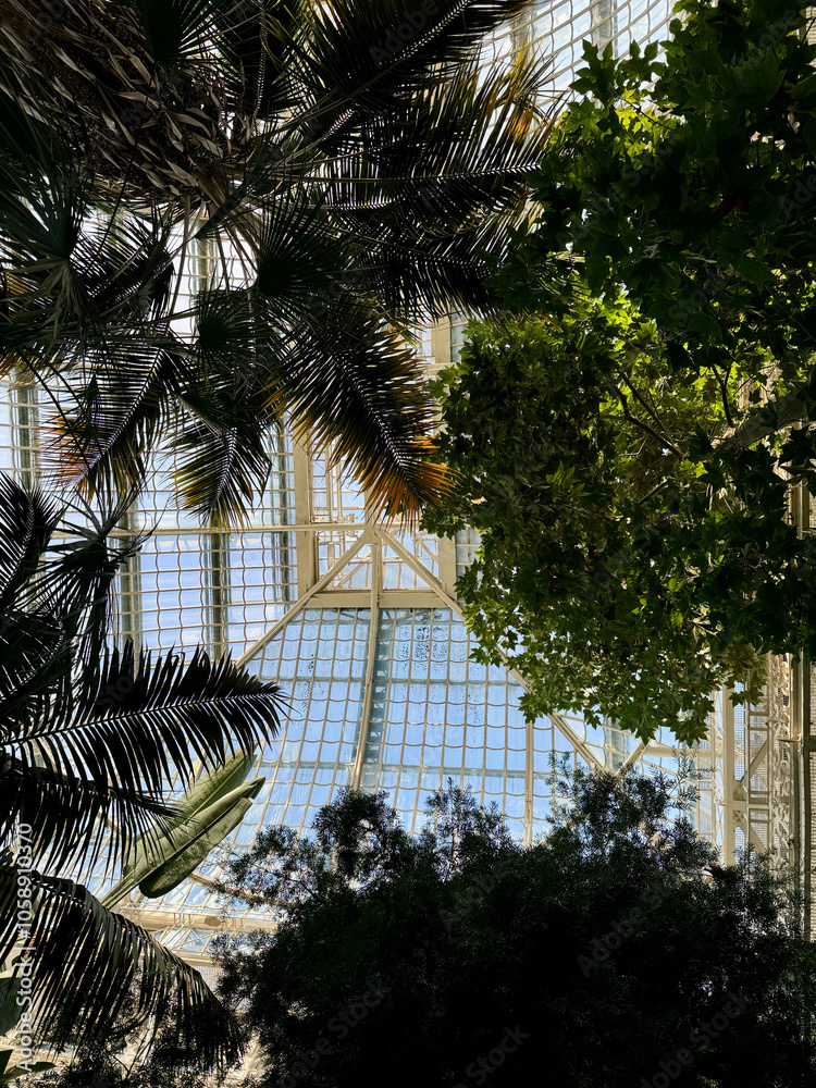 Das Große Palmenhaus Schönbrunn in Wien, Österreich