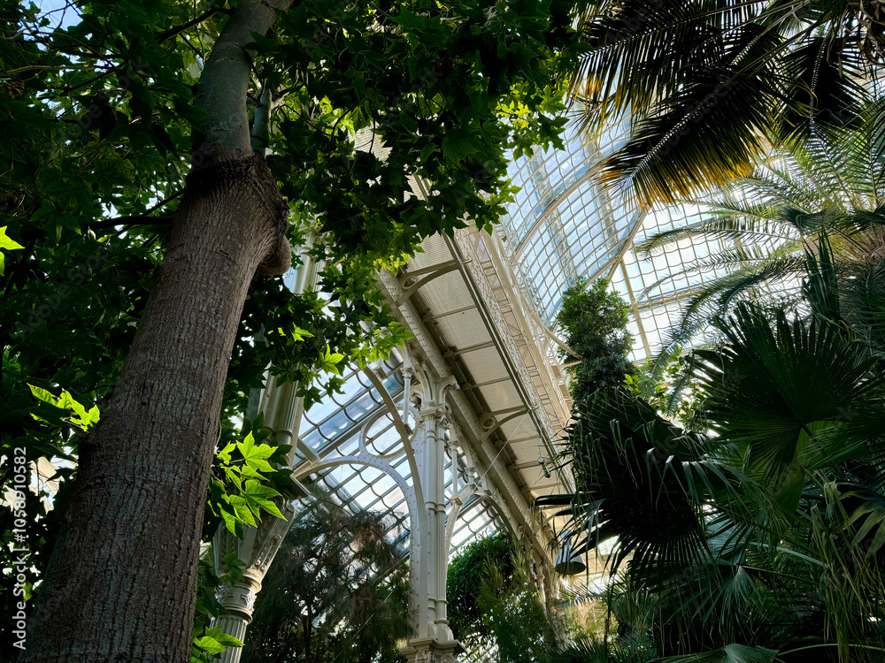 Das Große Palmenhaus Schönbrunn in Wien, Österreich