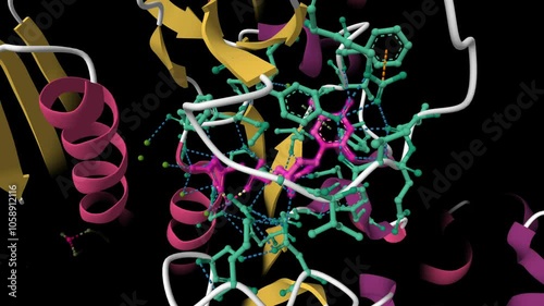 Crystal structure of human thymidine kinase 1 active center with bound thymidine triphosphate. Animated 3D cartoon model, PDB 1xbt, black background photo