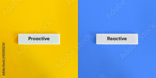 Canvastavla Proactive vs