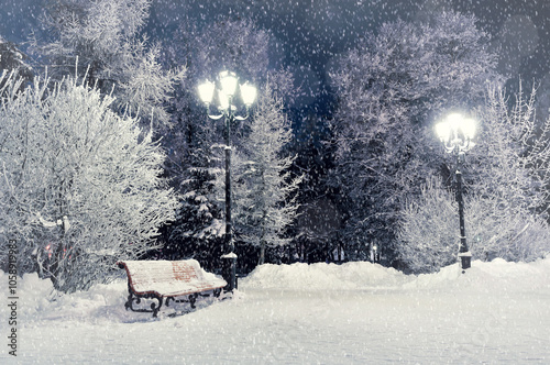 Winter night landscape- bench covered with snow among frosty winter trees and shindig lights. Winter Christmas night landscape photo