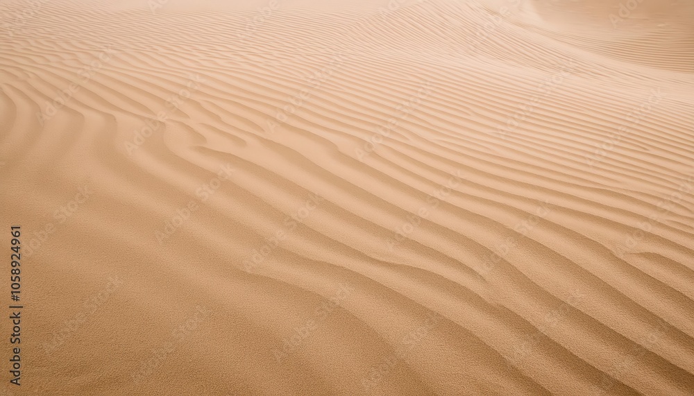 Serene Desert Sand Dune Ripples in Soft Light. Natural Patterned Texture for Calm Backgrounds, Web Design, or Environmental Concepts on Nature’s Patterns and Minimalism Serene Desert Sand Dune Ripples in Soft Light. Natural Patterned Texture for Calm Backgrounds, Web Design, or Environmental Concepts on Nature’s Patterns and Minimalism