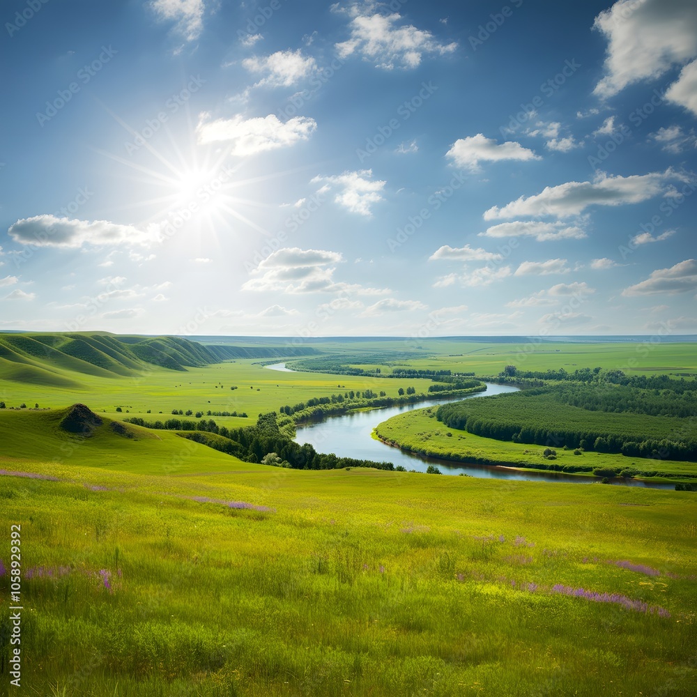 Obraz premium Summer landscape