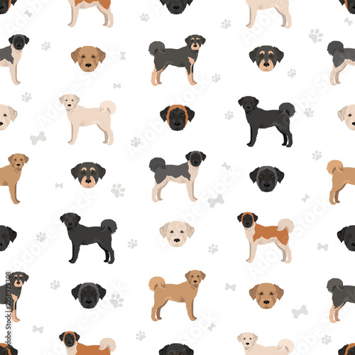 Airedale terrier Poodle seamless pattern. Airedoodle clipart. Different coat colors set.  Vector illustration