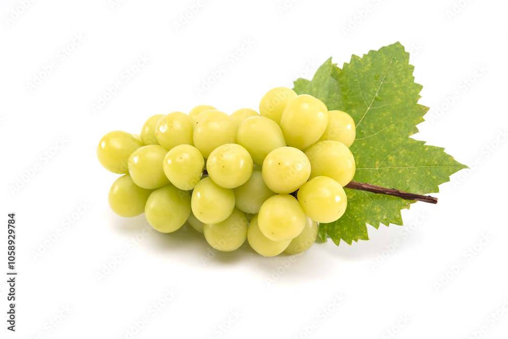 Shine muscat grape isolated on white background. Sweet green grape. Shine muscat grape isolated on white background. Sweet green grape.