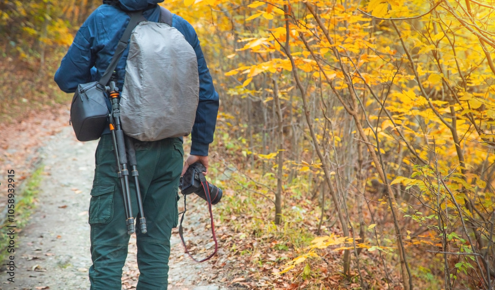 Caucasian photographer in backpack at forest. Caucasian photographer in backpack at forest.