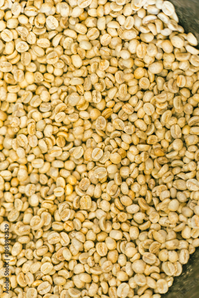 Close up Raw coffee beans Close up Raw coffee beans