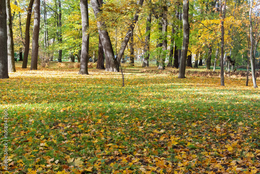 Beautiful autumn landscape in warm yellow and orange colors Beautiful autumn landscape in warm yellow and orange colors