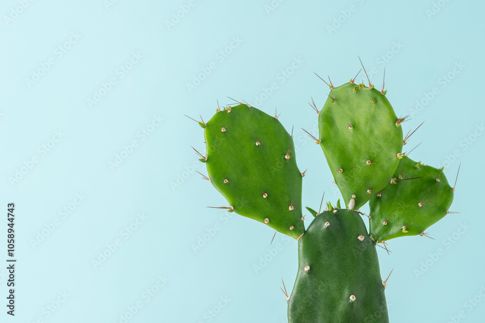 Minimal backdrop with green cactus on bright blue background. Minimal backdrop with green cactus on bright blue background.