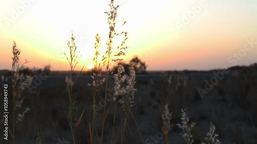 sunset in the mountains