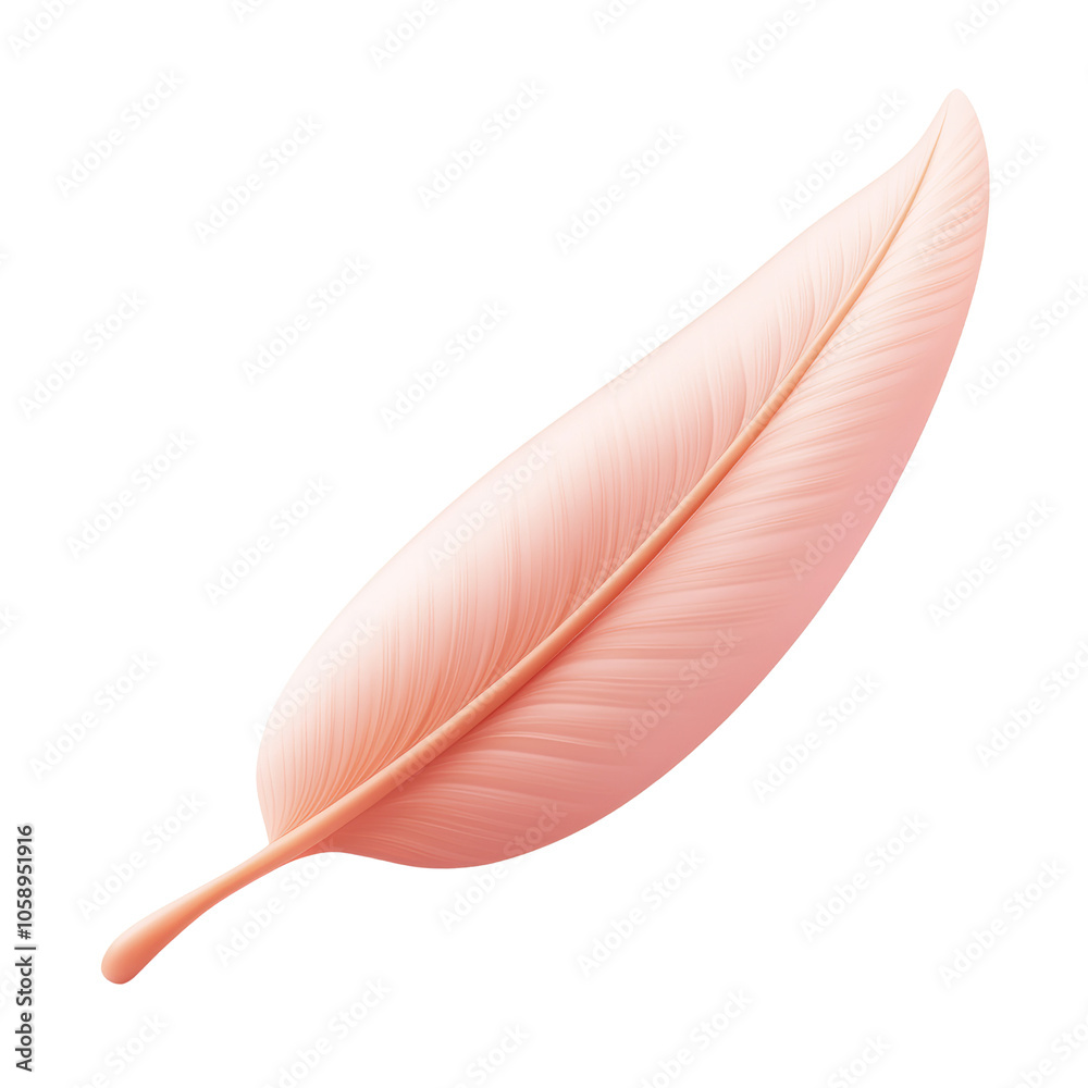 pink feather 3d render icon isolated on transparent background cutout pink feather 3d render icon isolated on transparent background cutout