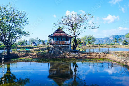 Trees and huts on the edge of the pond embankment that reflect shadows