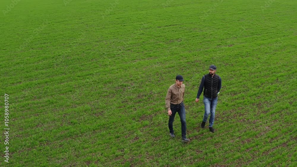 Aerial view of two male farmers walking through a field of green winter wheat, watching the growth of crops, discussing Aerial view of two male farmers walking through a field of green winter wheat, watching the growth of crops, discussing
