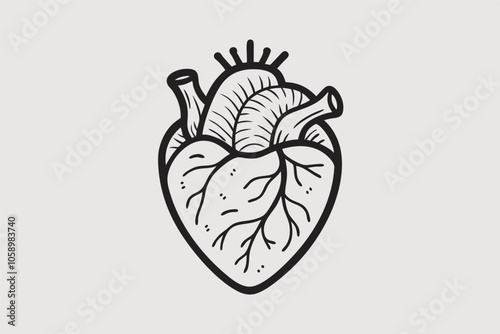 A clean, simple black line drawing of a human heart with details like ventricles and arteries on a beige background.