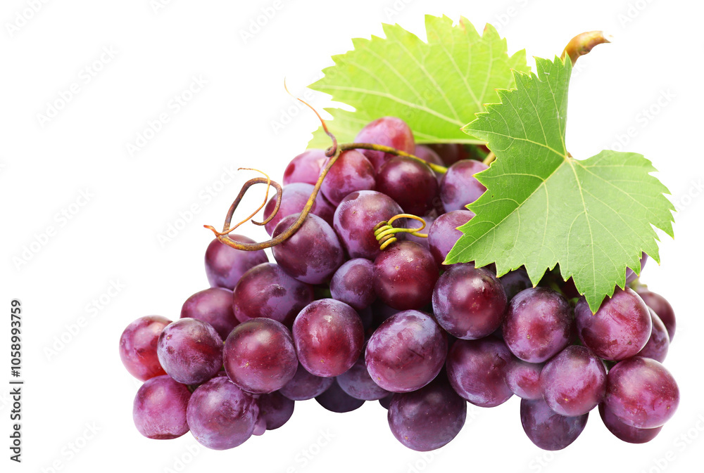 Obraz premium Grapes isolated on white