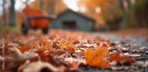 Autumn Leaves on a Fall Day