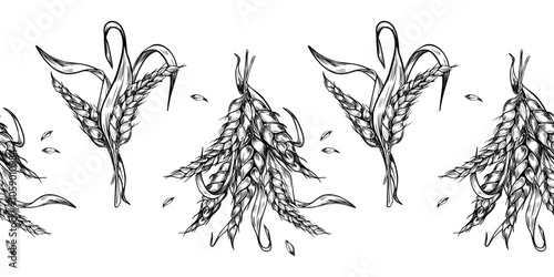 Seamless border of bunch wheat ear with dry herb and grains black white graphic vector isolated. Spikelet rye, barley stalks monochrome hand drawn botanical banner for design natural product, bakery