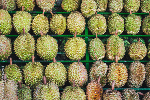 Close-up of a pile of fresh and ripe durian fruits on the market counter.