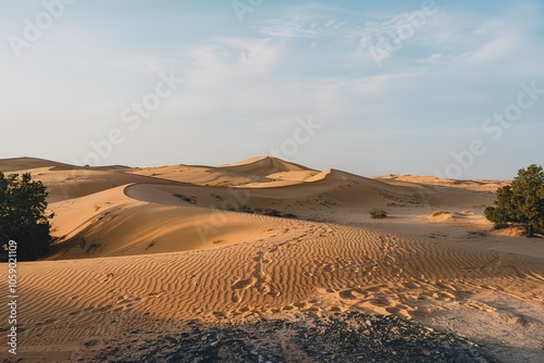 A photo of towering sand dunes in a desert